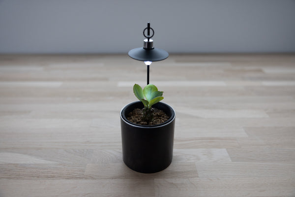 Plant Light / LMP-P100