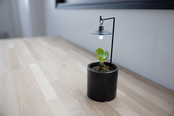 Plant Light / LMP-P100