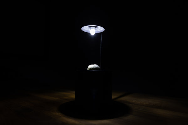 Plant Light / LMP-P100