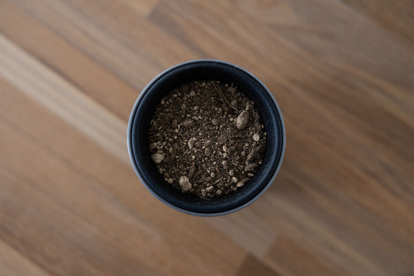 Plant Pot Holder / RPP-0760