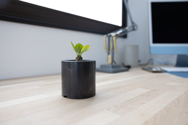 Plant Pot Holder / RPP-0760