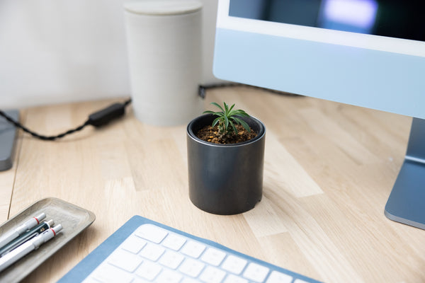 Plant Pot Holder / RPP-0760